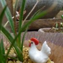 가람농원 이미지