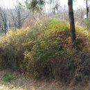 이문안호수공원 이미지