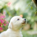 미소메디컬센터 이미지