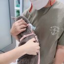 대전본동물병원 이미지