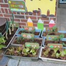 마곡 행복한i어린이집 이미지