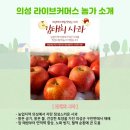 법인고운잣나무숲농원