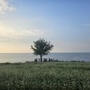 카페보리 - 송파구 충민로 184 | 카페보리