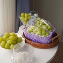 고당도 샤인머스켓 2.4kg 상주 정사랑 샤인머스캣 망고포도선물로 굿