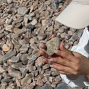 옛날그집 | [2025.8.7-8.8] 서산여행_옛날그집 서리태 콩국수, 서산벌천포캠핑장 글램핑 후기(2)