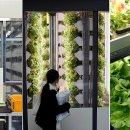 진화농장 이미지