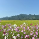 개천의 용