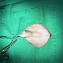 홍제동물병원 이미지