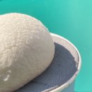 지엘티젤라또