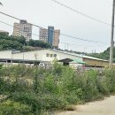 칸승마아카데미 이미지