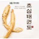 전광태권도 이미지