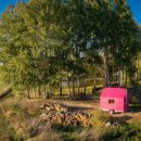 티니하우스 이미지