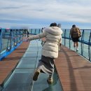 세븐일레븐 부산해운대팔레드점 | 부산 해운대 해변열차 해운대 캡슐열차 블루라인파크 청사포 다릿돌전망대