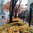 오가 이미지