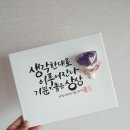 플라워캘리