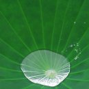 농업기술센터 외부화장실 이미지