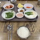 촌돼지와보리밥 | 부산 시청 애돈촌 돼지국밥 맛집 내돈내산 후기 주차