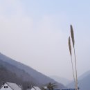 배내골 철구소 펜션 이미지