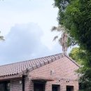 스테이애옥 이미지