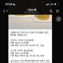 담케이크 이미지
