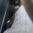 광신자동차정비 이미지