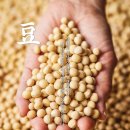 정선콩국수 소소정 이미지