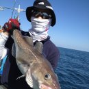 울진왕돌초 이미지