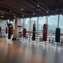 위너 복싱 이미지