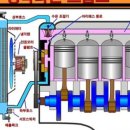 차사랑 1004 이미지