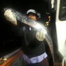 일오삼낚시 이미지