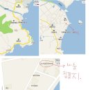 소나무숲속의하얀집