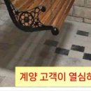 자연의 의자 이미지