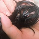 오렌지주유소 이미지