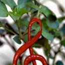 높은음자리 이미지