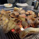 빨간꼼장어 이미지