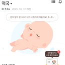 명품차병원 | 임신 22주, 이바지음식, 이바지, 답바지 후기