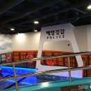 울산안전체험관 네이버블로그
