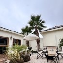 귤담채 | 🍊 제주 감성에 귤 한 스푼, 신상 독채 스테이 '귤담채' 리얼 후기