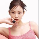 까치머리 이미지