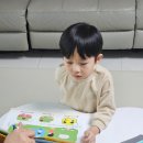 인천별빛초등학교 | 빨간펜 홈클래스 누리키즈 누리과정 인천 6세 학습지