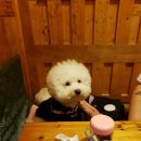 최진사댁식당 네이버블로그
