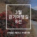 여행길 이미지