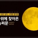 취업아카데미부산승무원