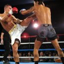 팀 드래곤 이미지