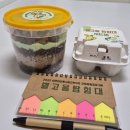 성산동고분군전시관 야외화장실 | [성주 아이랑] 고분군 전시관 별고을 탐험대 고고학자 체험 프로그램 참여하고 왔어요.(어린이 전시실...