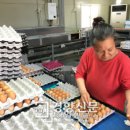 석산농장 이미지