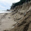 월천리 마을회관 이미지