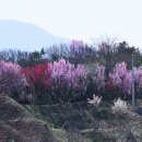 함양군청 구내식당 앞 이미지