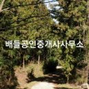 장성 공인중개사사무소 이미지