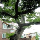 선소로3 이미지